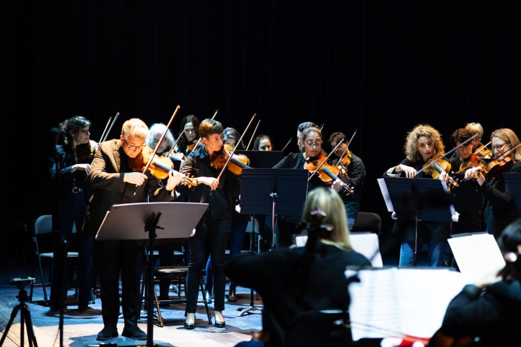 L'orchestre en concert